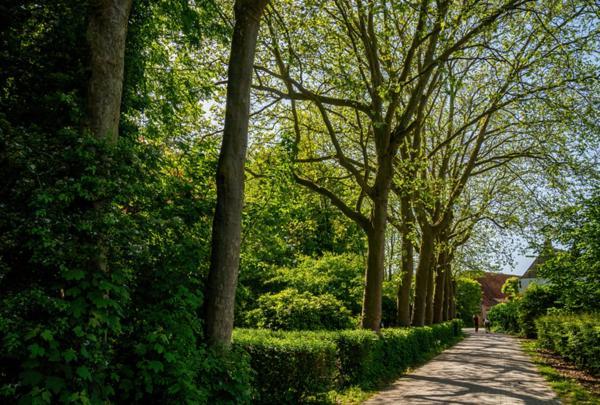 Natuurhuisjes Lust En Last Sommelsdijk Exterior foto